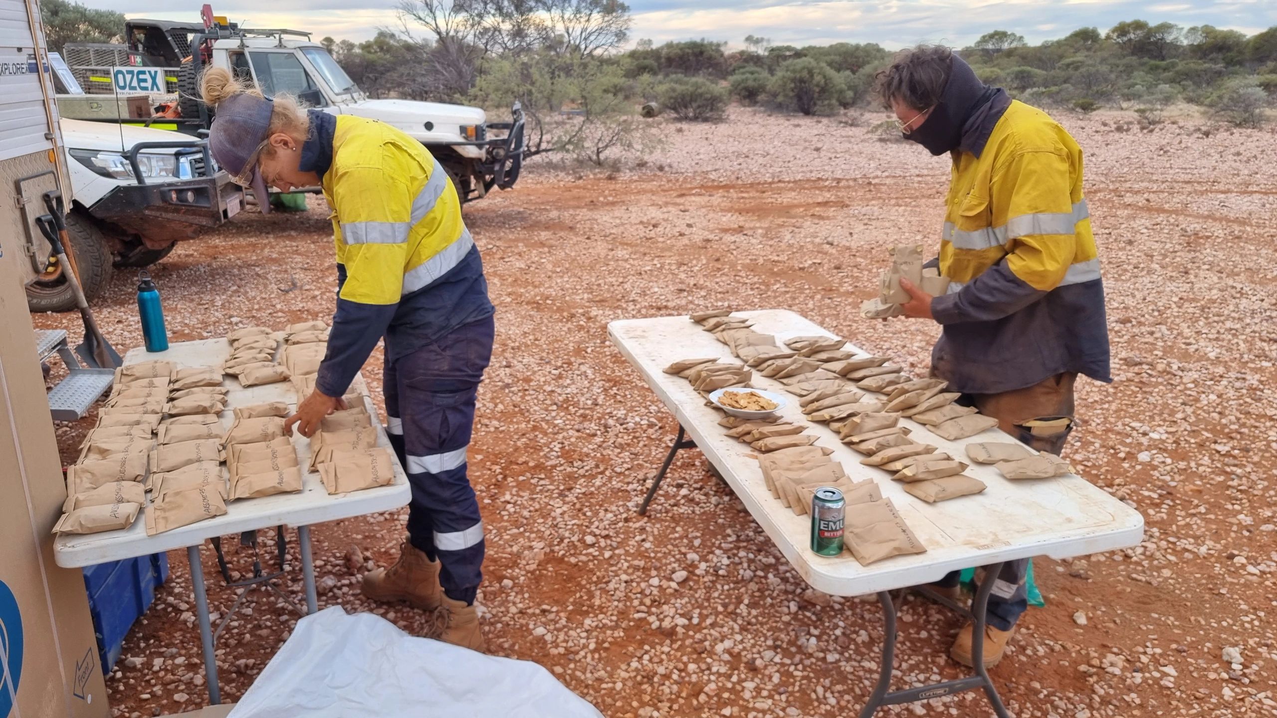 contract soil sampling in the gascoyne region.  The field assistants count soil samples.