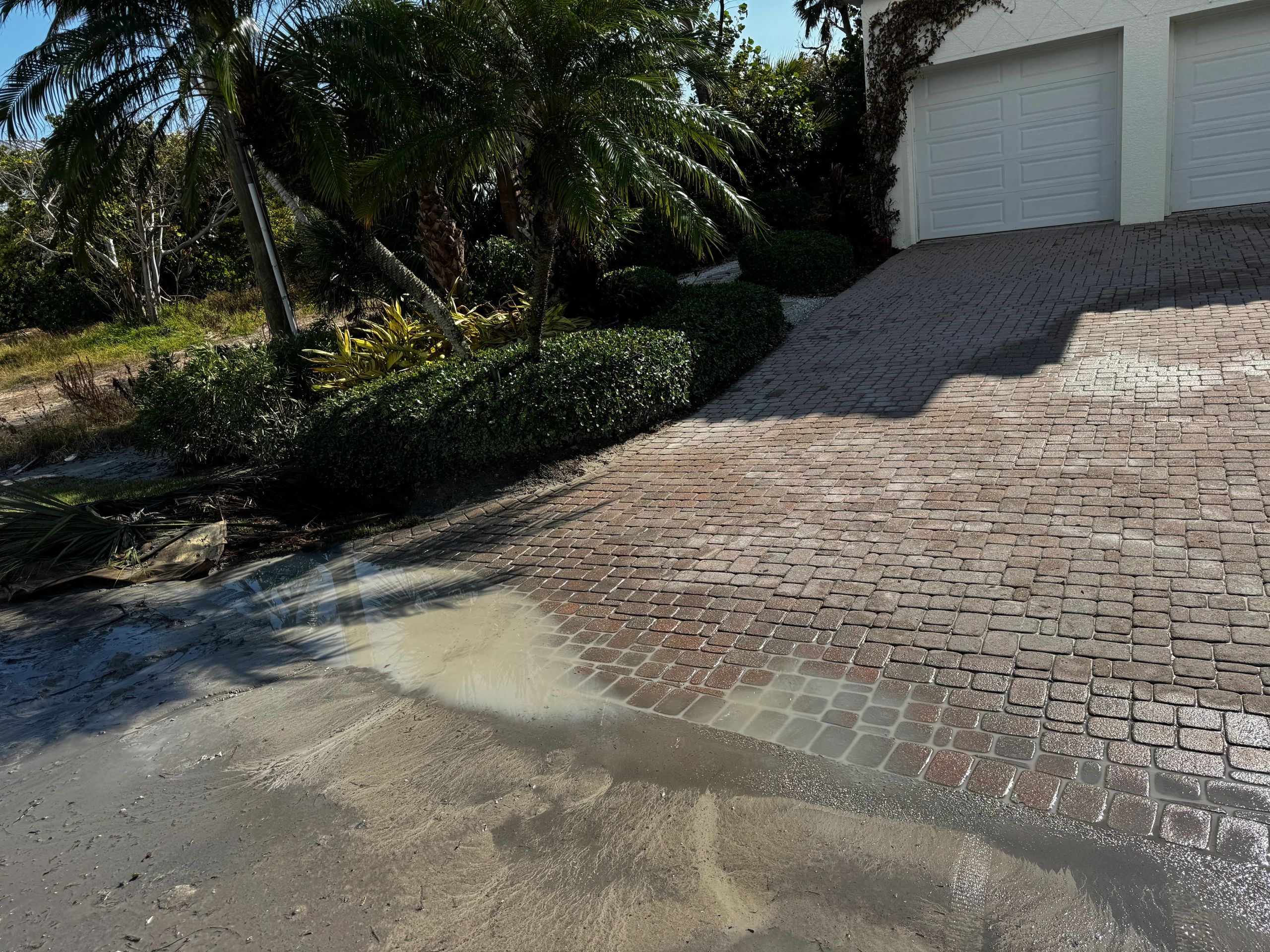 water restoration Cape Coral