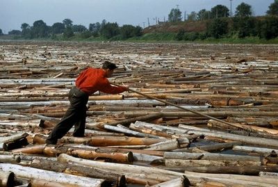 The Project Log Jam, Nothing Moves Forward!