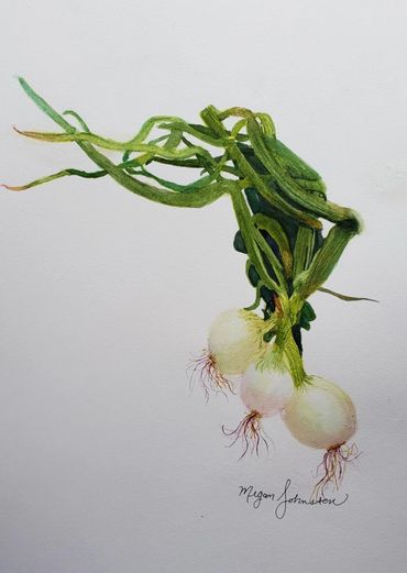 Onions

Watercolor workshop courtesy of, Charlene Collins Freeman.

15 X 22 - Watercolor - Available