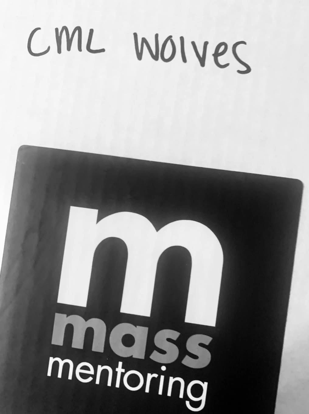 A card with the 'mass mentoring' logo.