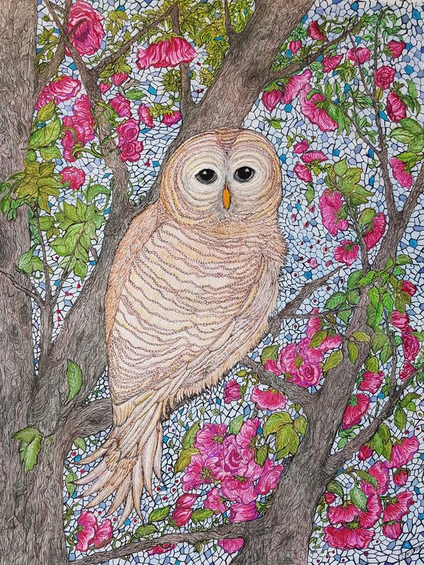 Barred Owl in tree, flowers