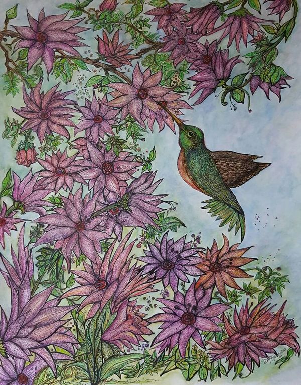 Hummingbird feeding from an abundance of tropical flowers