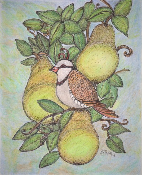 Partridge in a Pear Tree