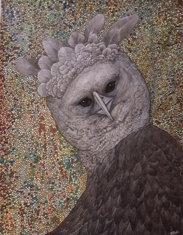Portrait of a Harpy Eagle in Mixed media, inks and watercolor pencils, acrylic, graphite, charcoal