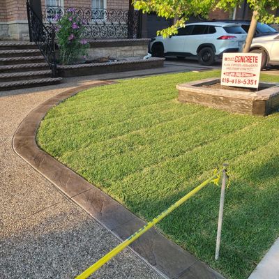 Concrete sidewalk and driveway with a grass lawn and tree.