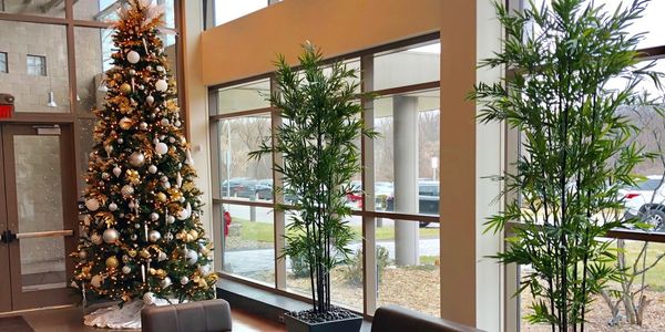 Christmas Trees
Artificial Bamboo Plants