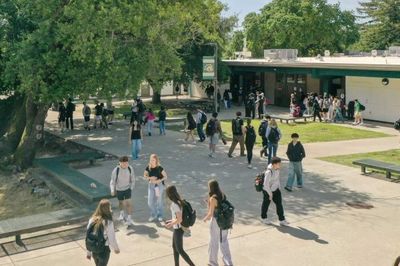 Students gather and walk around a sunny school courtyard surrounded by trees and buildings.