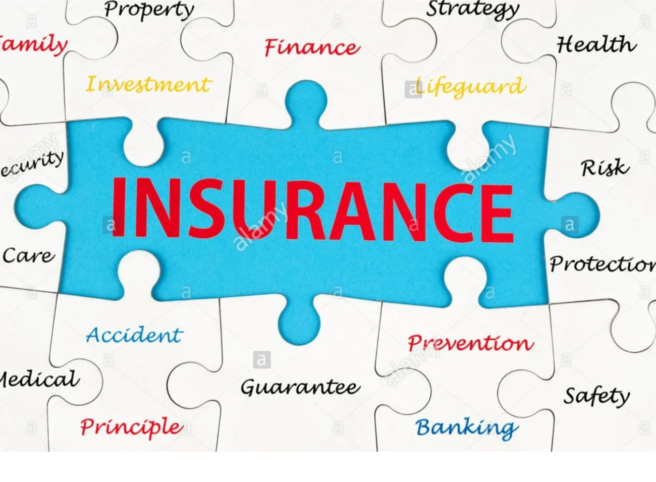 Insurance is the missing piece of the puzzle