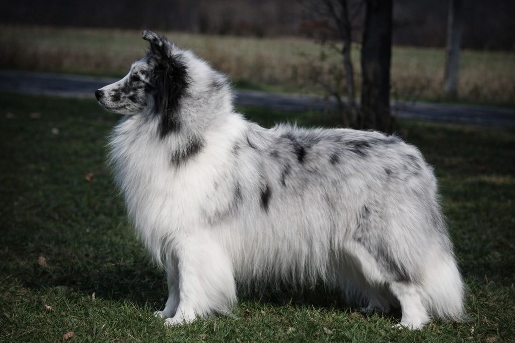 M&M's Summer Time Blues, "Cricket"