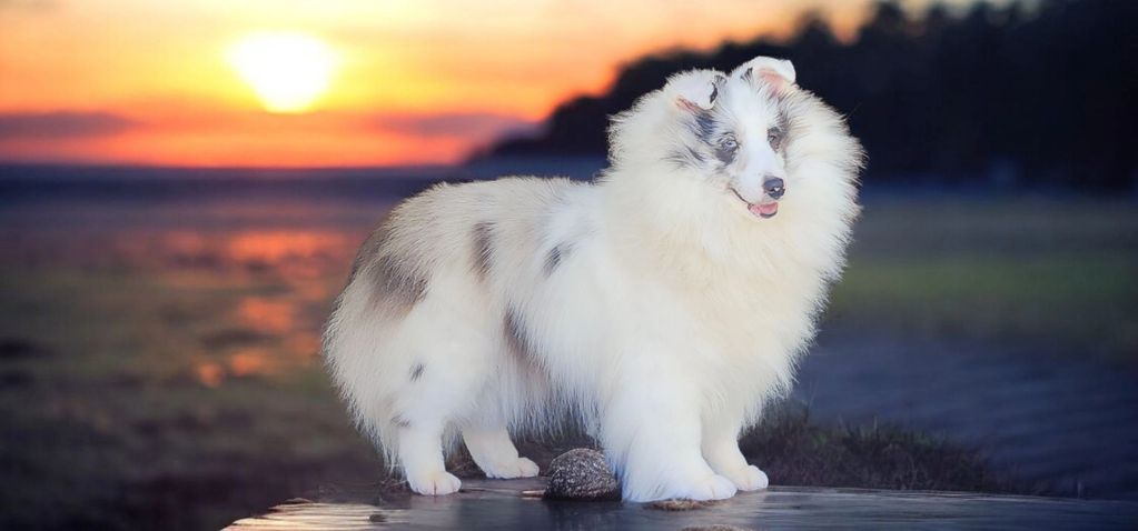 M&M's Centerfold, "Phoebe"