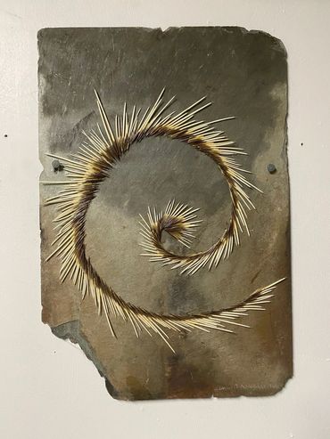 'To Danse Widdershins Chant Simply and Strong'
porcupine needles on slate
18" 12.25" / 46cm x 31cm
2
