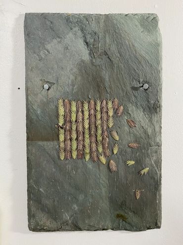 'the Dissolution of Order and Pattern'
grasses on slate
16" x 10" / 41cm x 26cm
2020