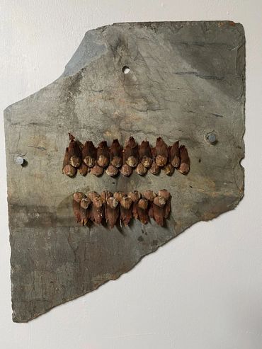 'the Gnashing of Teeth and Tyme'
pine cone on slate
15.5" x 12" / 39cm x 30.5cm
2020