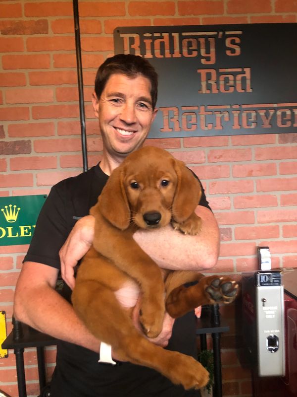 Man smiling while holding a golden retriever puppy indoors.