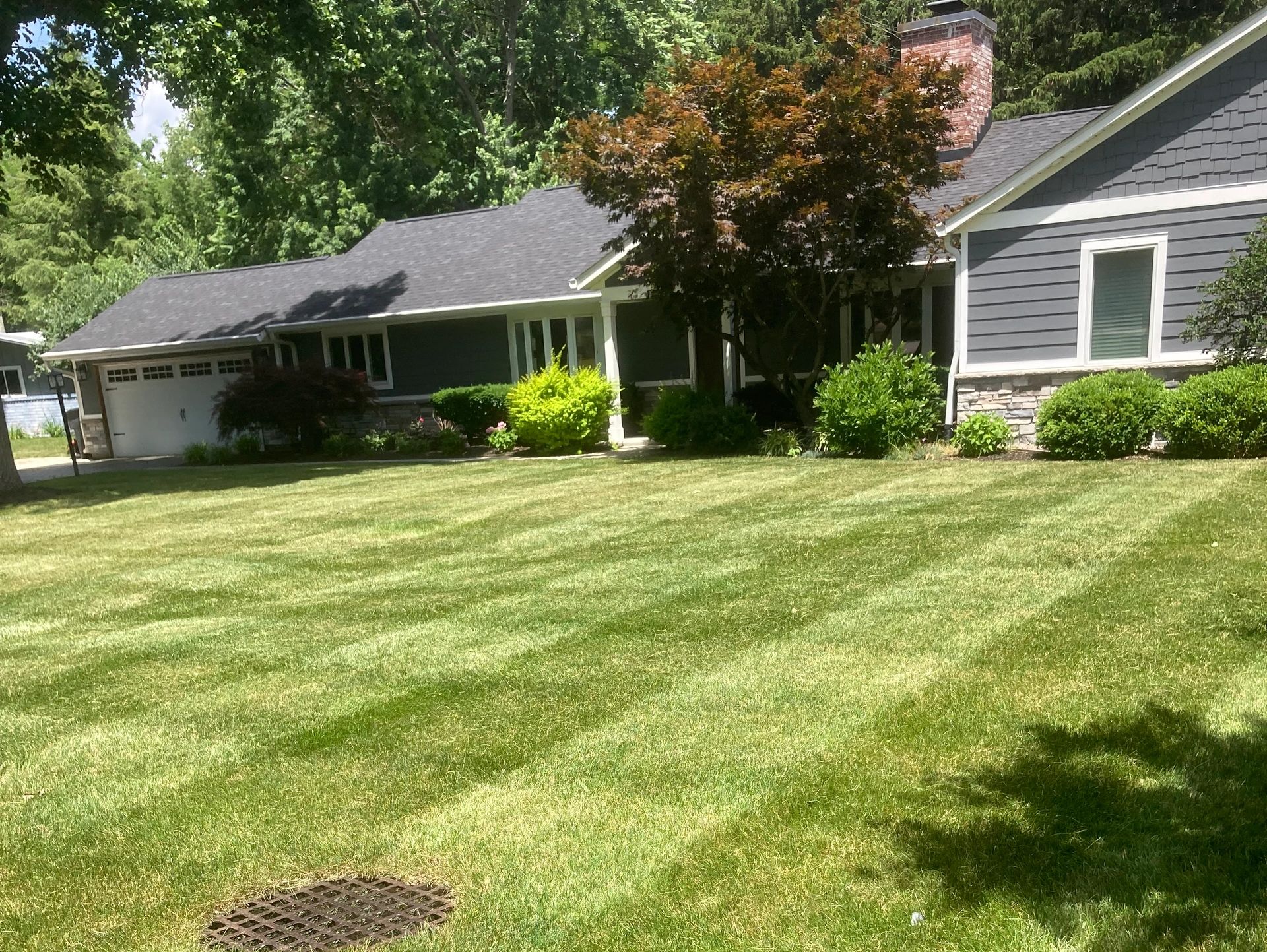 Beautiful Lawn located in Lafayette