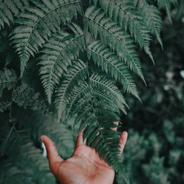 Intuitive coaching