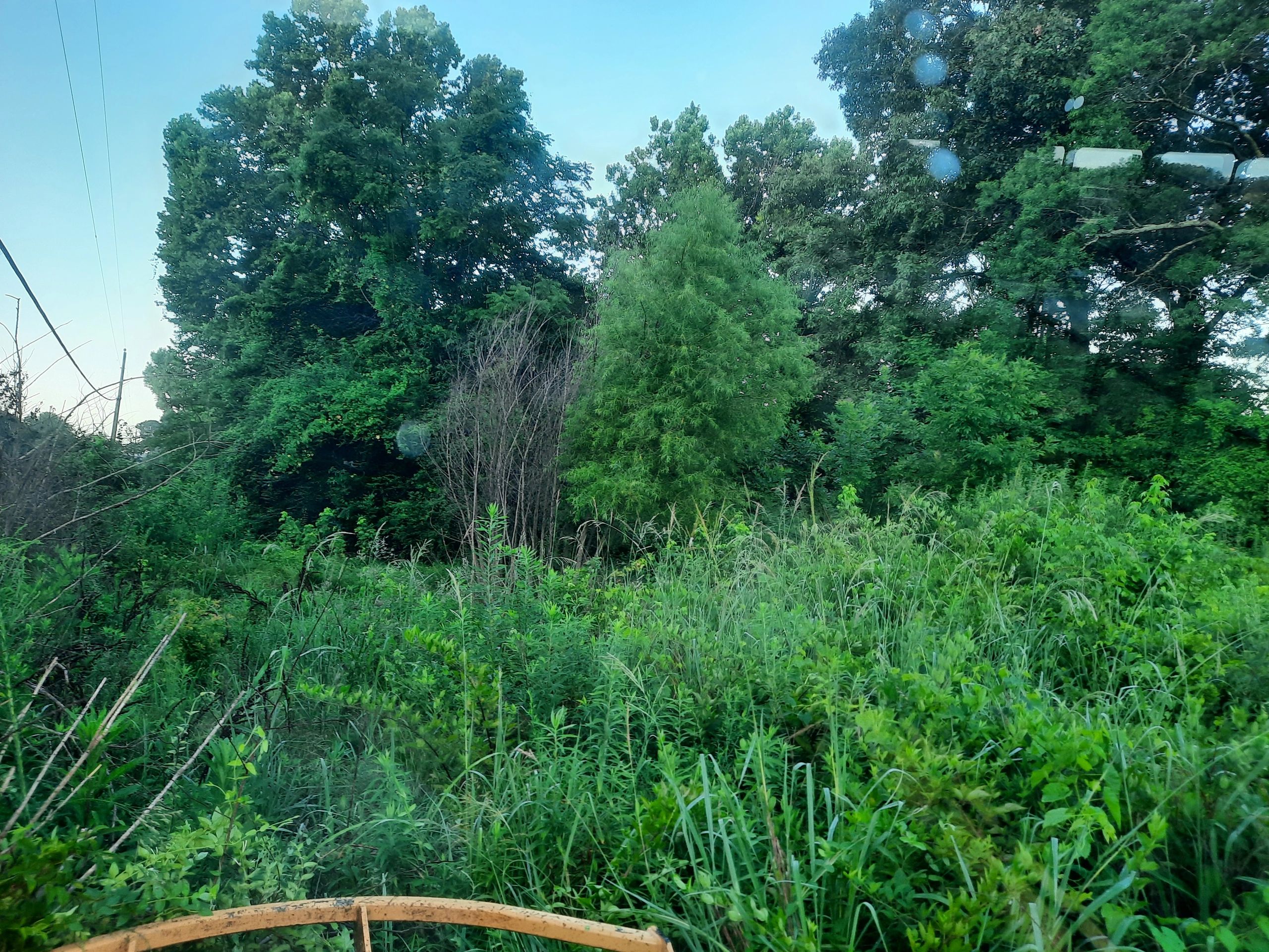 Baldwin County land clearing