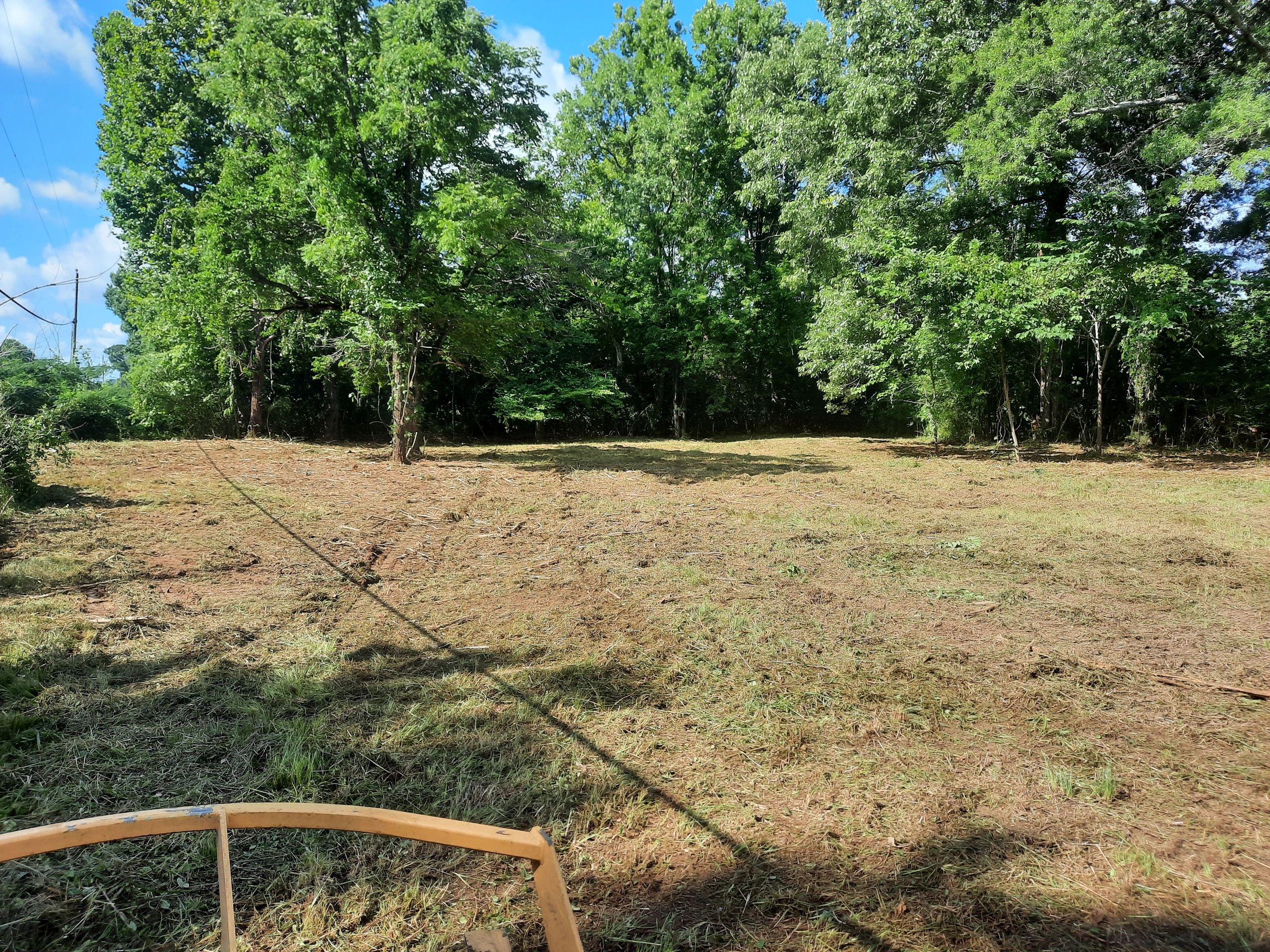 Baldwin County, Daphne land clearing tree removal