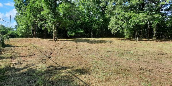 land clearing and tree removal Baldwin County