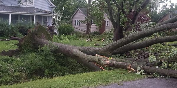 storm clean up and emergency tree removal service