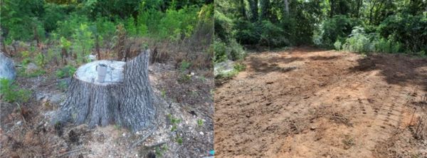 stump removal and grading