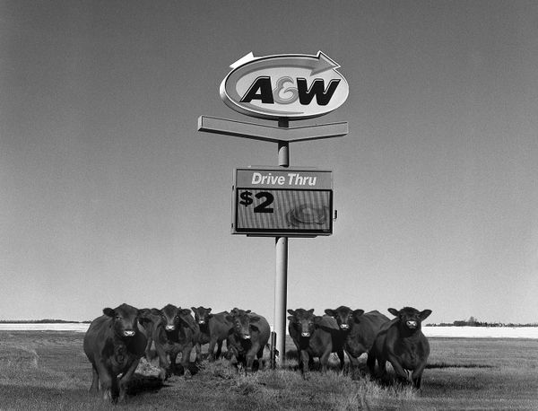 Black and white medium format Prairie landscape by Canadian film photographer Chad Coombs.