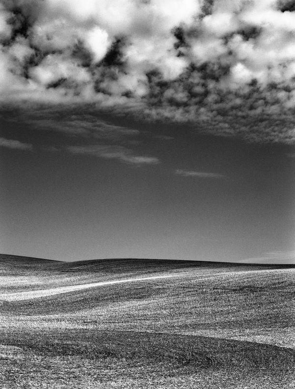 Black and white medium format Prairie landscape by Canadian film photographer Chad Coombs.