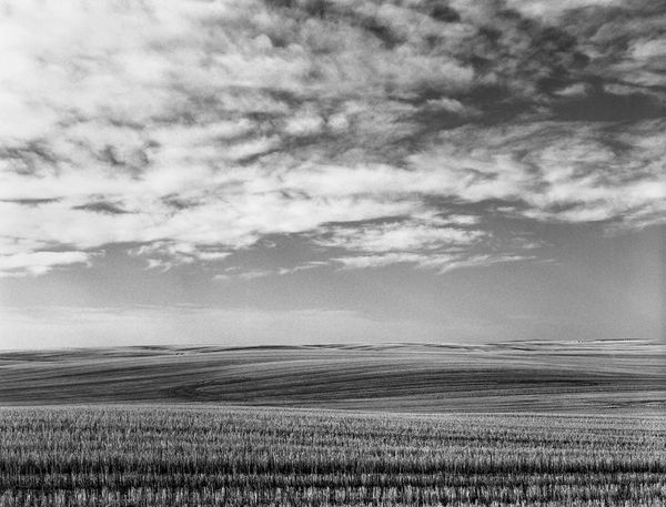 Black and white medium format Prairie landscape by Canadian film photographer Chad Coombs.