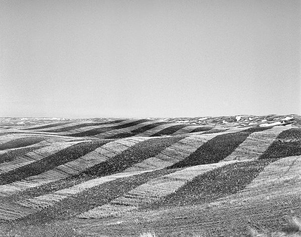 Black and white medium format Prairie landscape by Canadian film photographer Chad Coombs.