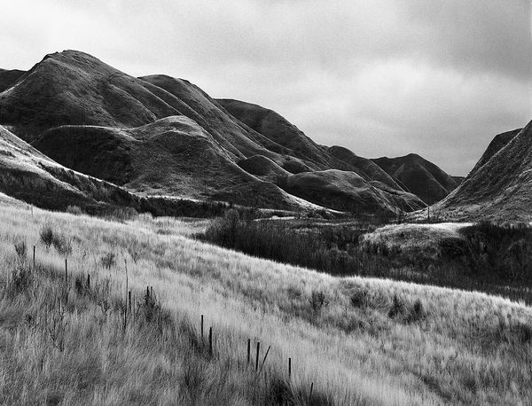 Black and white medium format Prairie landscape by Canadian film photographer Chad Coombs.