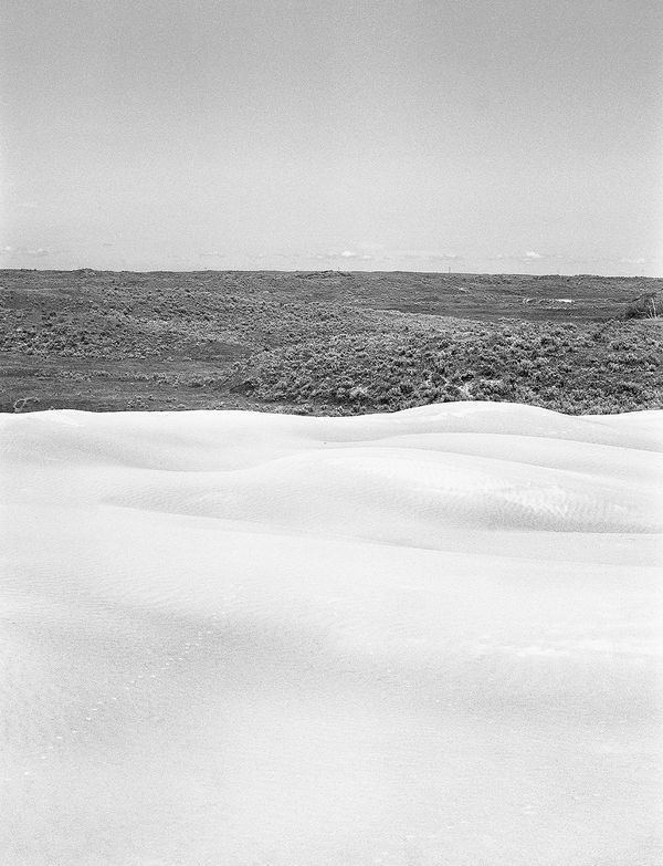 Black and white medium format Prairie landscape by Canadian film photographer Chad Coombs.