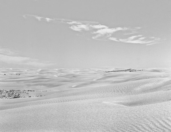 Black and white medium format Prairie landscape by Canadian film photographer Chad Coombs.