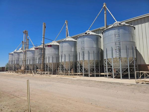 Row of large industrial metal silos under clear blue sky.
