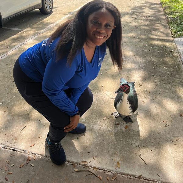 A smiling woman in blue crouches next to a Muscovy duck on a sunny sidewalk.