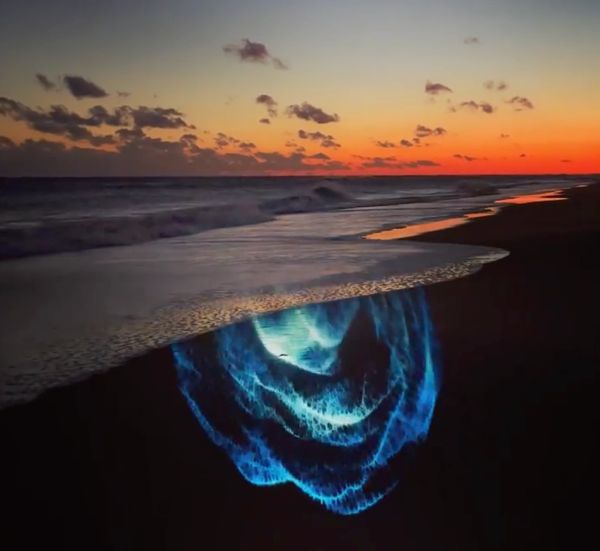 light art by Artist Robin Vuchnich, Outer Banks NC