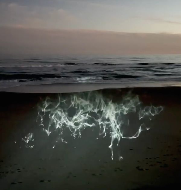 video art, video mapping, projection mapping by Artist Robin Vuchnich, Outer Banks North Carolina
