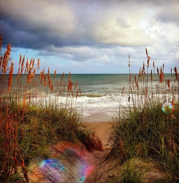 photograph of a bubble  by Artist Robin Vuchnich, Outer Banks, North Carolina