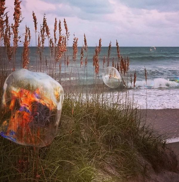 photograph of a bubble  by Artist Robin Vuchnich, Outer Banks, North Carolina