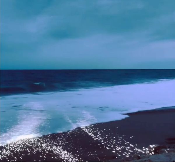 video art, video mapping, projection mapping by Artist Robin Vuchnich, Outer Banks North Carolina