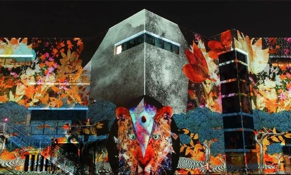 projection mapping at the North Carolina Museum of Art by New Media Artist: Robin Vuchnich