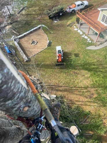 Tree Services: Flagg Forestry Tree Removal in Maine, view from way up.