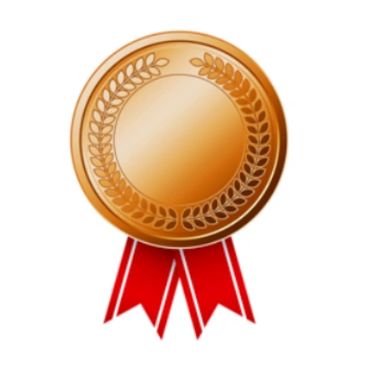 A bronze medal.