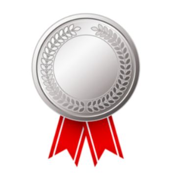 A platinum medal.