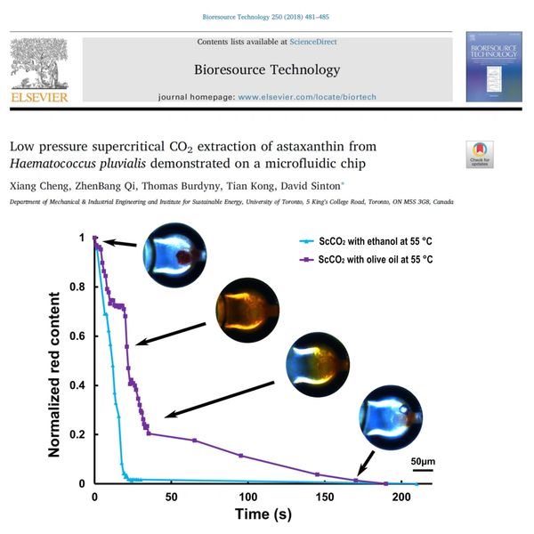 supercritical co2 extraction of astaxanthin