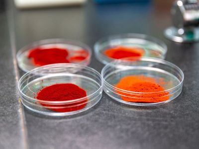 AlgaeAsta astaxanthin oleoresin beadlets emulsion powder oil