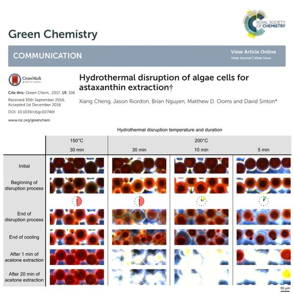 Cell-wall Disruption For Astaxanthin Extraction from microalgae