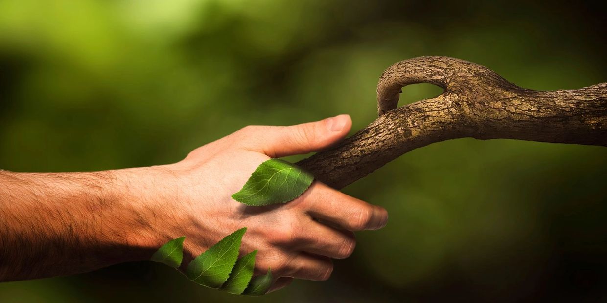 shake hand with nature