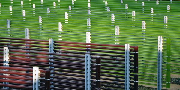 Tubular PBR of haematococcus pluvialis for astaxanthin production