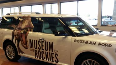 Vinyl and Vehicle Graphic